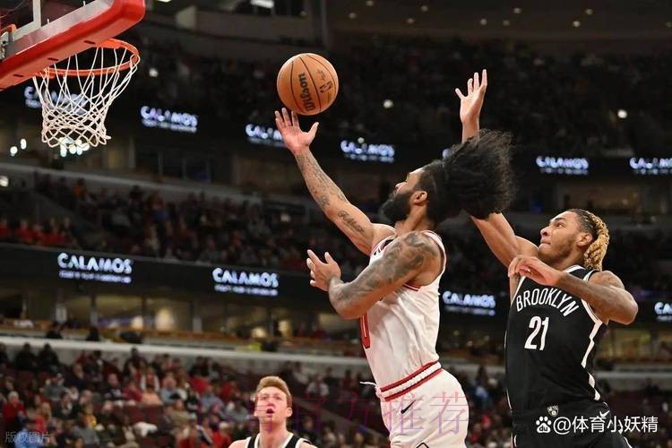 怀特24分武切维奇17+11 公牛主场轻取篮网